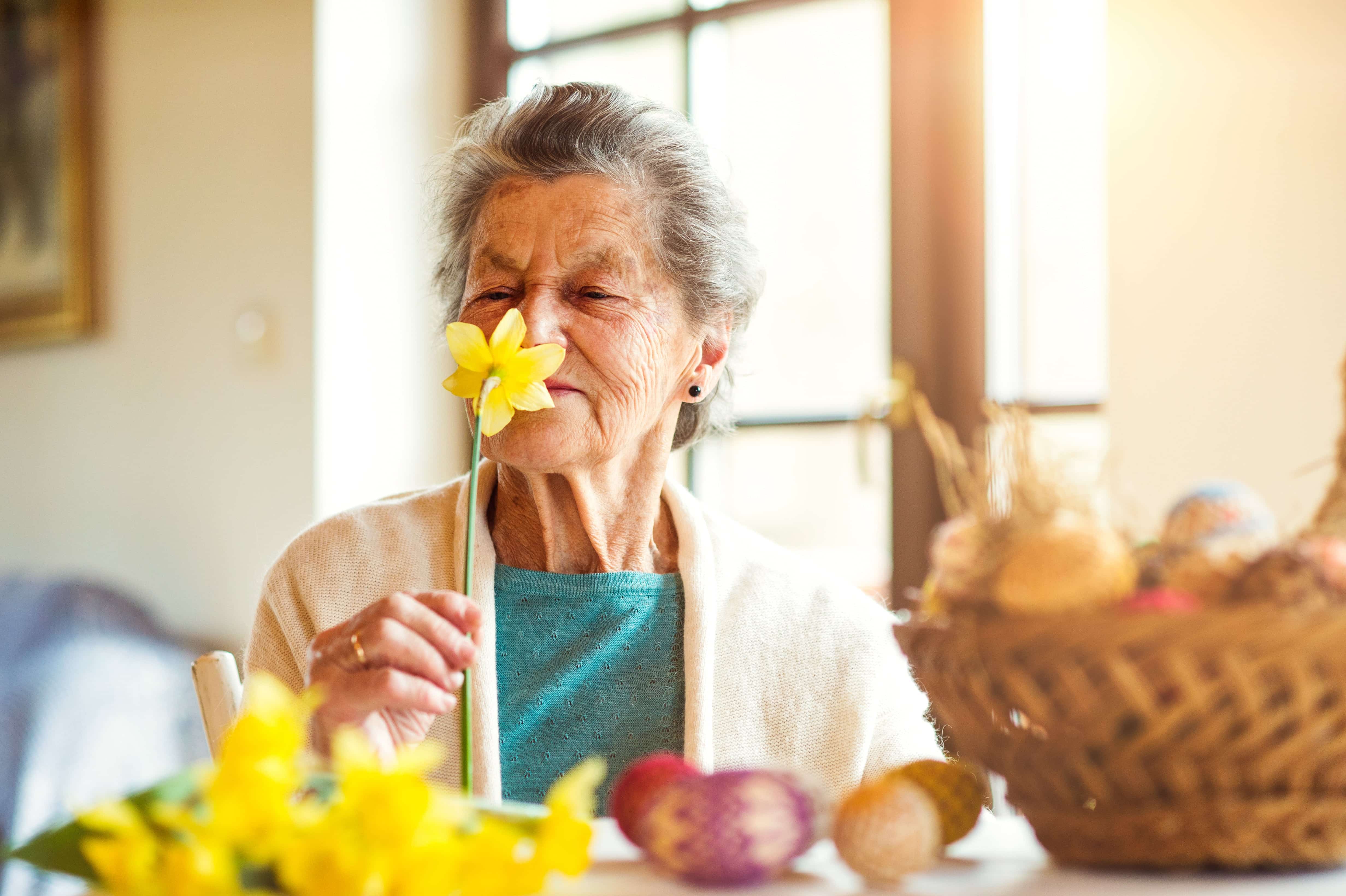 Senior women smelling daffodil, sitting indoors